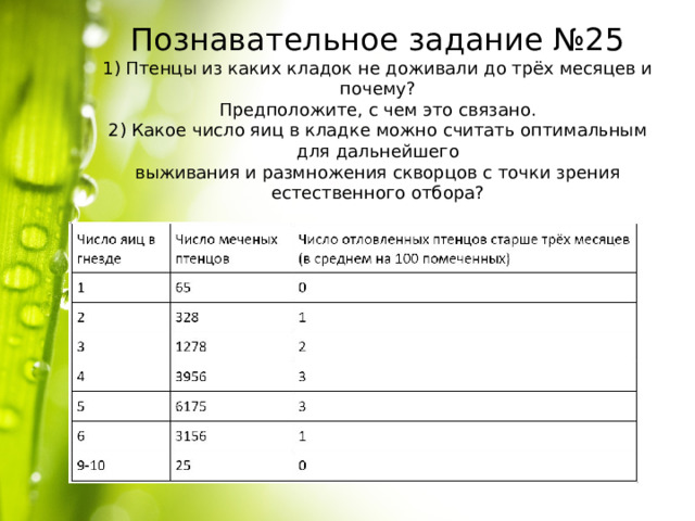    Познавательное задание №25  1) Птенцы из каких кладок не доживали до трёх месяцев и почему?  Предположите, с чем это связано.  2) Какое число яиц в кладке можно считать оптимальным для дальнейшего  выживания и размножения скворцов с точки зрения естественного отбора? 