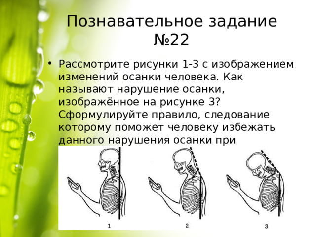 Познавательное задание №22 Рассмотрите рисунки 1-3 с изображением изменений осанки человека. Как называют нарушение осанки, изображённое на рисунке 3? Сформулируйте правило, следование которому поможет человеку избежать данного нарушения осанки при использовании мобильного телефона. 