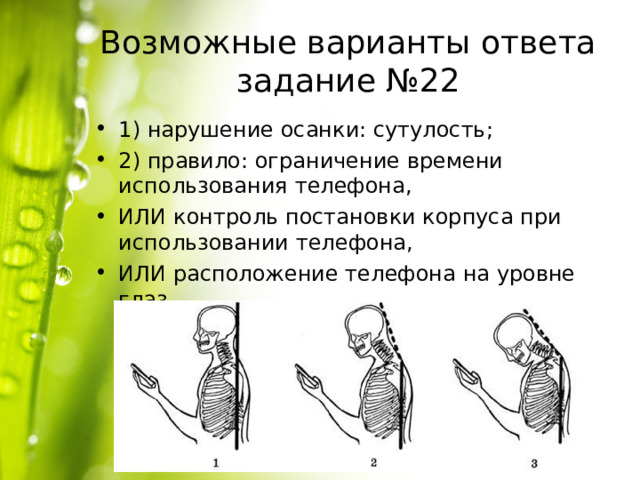 Возможные варианты ответа задание №22 1) нарушение осанки: сутулость; 2) правило: ограничение времени использования телефона, ИЛИ контроль постановки корпуса при использовании телефона, ИЛИ расположение телефона на уровне глаз. 
