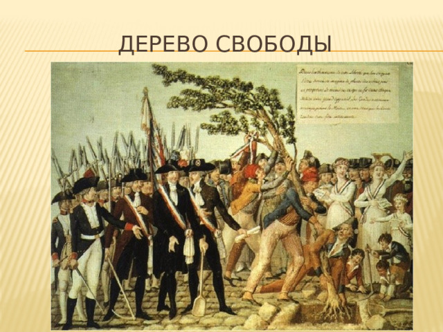 Дерево свободы 