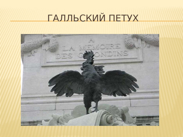 Галльский Петух 