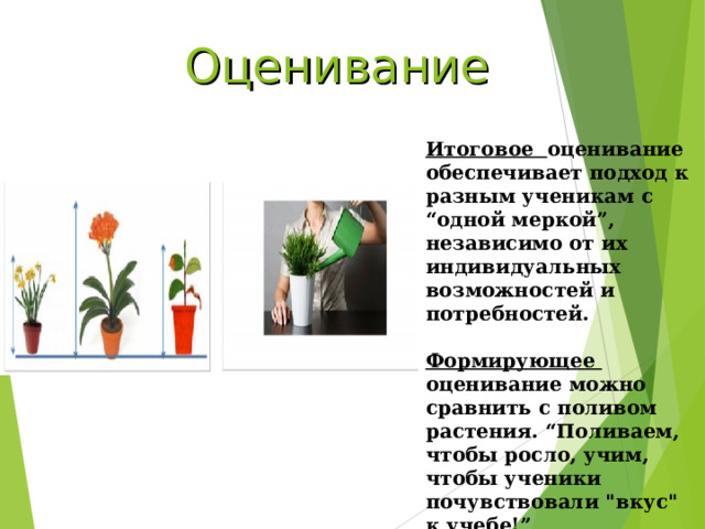 Оценивание Итоговое оценивание обеспечивает подход к разным ученикам с “одной меркой”, независимо от их индивидуальных возможностей и потребностей.  Формирующее оценивание можно сравнить с поливом растения. “Поливаем, чтобы росло, учим, чтобы ученики почувствовали 