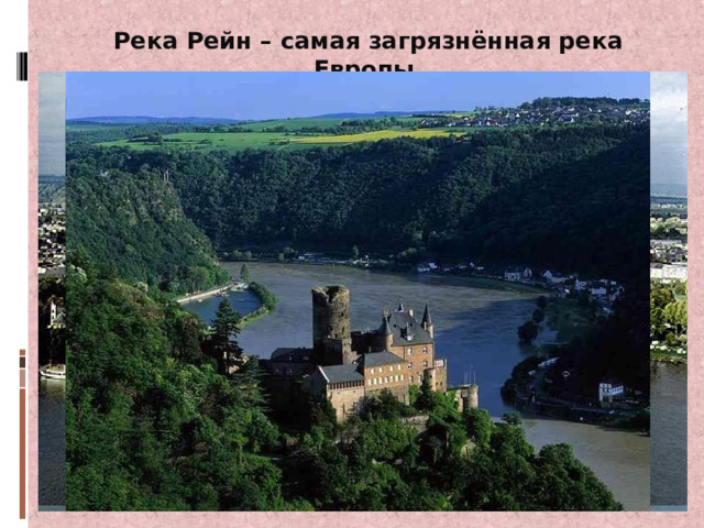 Река Рейн – самая загрязнённая река Европы. 