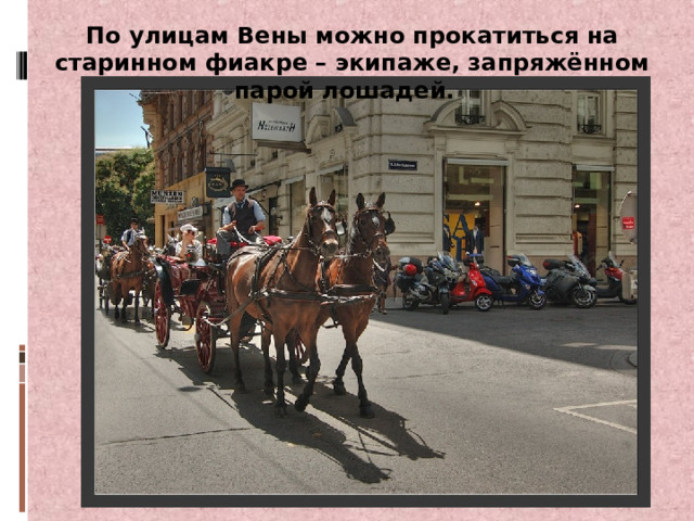 По улицам Вены можно прокатиться на старинном фиакре – экипаже, запряжённом парой лошадей. 