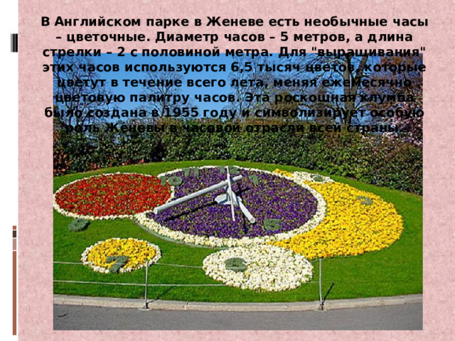 В Английском парке в Женеве есть необычные часы – цветочные. Диаметр часов – 5 метров, а длина стрелки – 2 с половиной метра. Для 