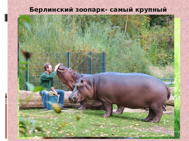 Берлинский зоопарк- самый крупный в мире 