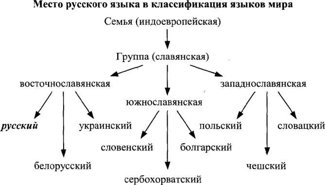 Схема группы славянских языков. Группы славянских языков таблица. Схема славянских языков.