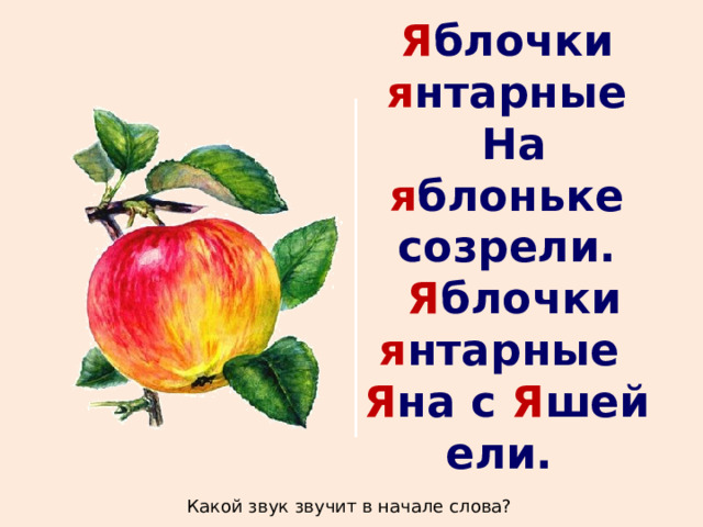 Я блочки я нтарные  На я блоньке созрели.  Я блочки я нтарные Я на с Я шей ели.  Какой звук звучит в начале слова? 