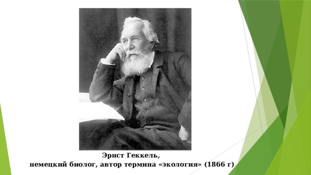 Эрнст Геккель, немецкий биолог, автор термина «экология» (1866 г) 