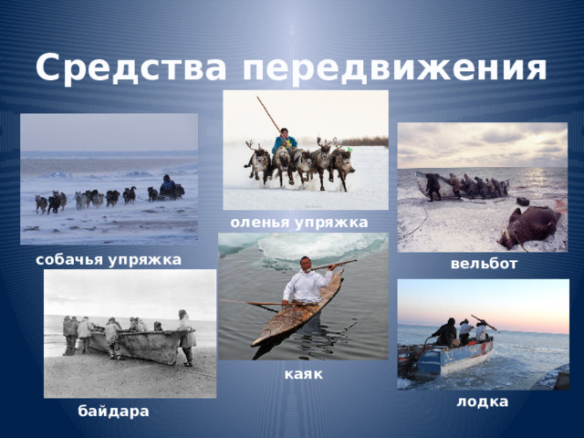 Средства передвижения оленья упряжка собачья упряжка вельбот каяк лодка байдара 