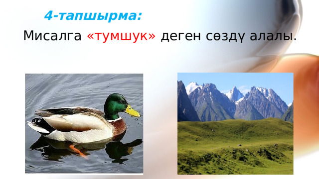 4-тапшырма:  Мисалга «тумшук» деген сөздү алалы. 