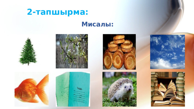 2-тапшырма: Мисалы:  