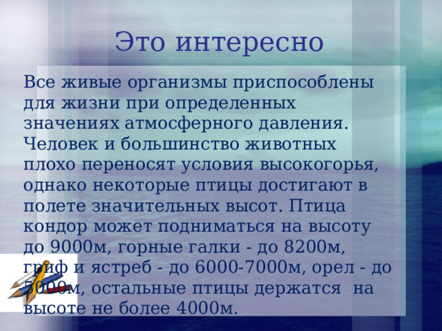 Это интересно Все живые организмы приспособлены для жизни при определенных значениях атмосферного давления. Человек и большинство животных плохо переносят условия высокогорья, однако некоторые птицы достигают в полете значительных высот. Птица кондор может подниматься на высоту до 9000м, горные галки - до 8200м, гриф и ястреб - до 6000-7000м, орел - до 5000м, остальные птицы держатся  на высоте не более 4000м.    