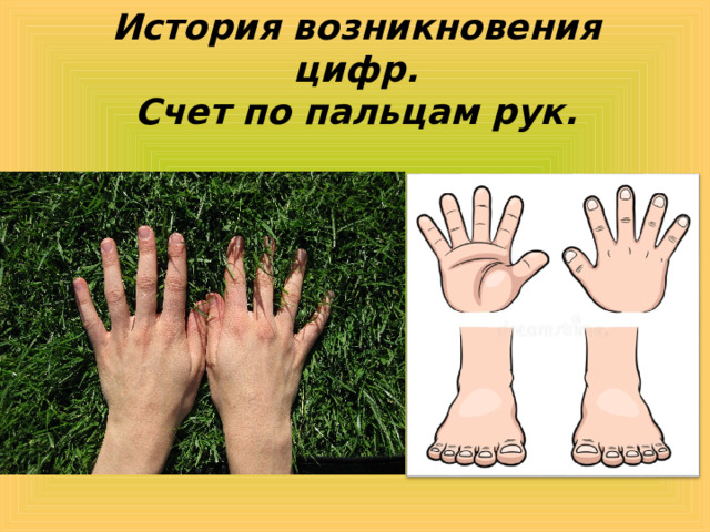  История возникновения цифр.  Счет по пальцам рук. 