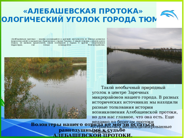 «АЛЕБАШЕВСКАЯ ПРОТОКА» ЭКОЛОГИЧЕСКИЙ УГОЛОК ГОРОДА ТЮМЕНИ «Алебашевская протока» – водоем находящийся в шаговой доступности от Центра развития творчества детей и юношества «Бригантина» города Тюмени. С одной стороны, удачное место отдыха, по мнению орнитологов, самое соловьиное в городе. С другой - загрязненная территория, где только планируется благоустройство.    Такой необычный природный уголок в центре Заречных микрорайонов нашего города. В разных исторических источниках мы находили разные толкования истории возникновения Алебашевской протоки, но для нас главное, что она есть. Еще недавно по берегам протоки устраивались несанкционированные мусорки. Волонтеры нашего отряда не могли остаться равнодушными к судьбе АЛЕБАШЕВСКОЙ ПРОТОКИ. 