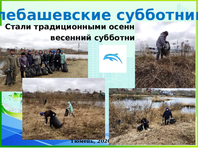 «Алебашевские субботники» Стали традиционными осенний и весенний субботники Тюмень, 2020 