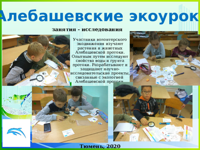 «Алебашевские экоуроки» занятия - исследования Участники волонтерского экодвижения изучают растения и животных Алебашевской протоки. Опытным путем исследуют свойства воды и грунта протоки. Разрабатывают и защищают научно-исследовательские проекты, связанные с экологией Алебашевской протоки. Тюмень, 2020 