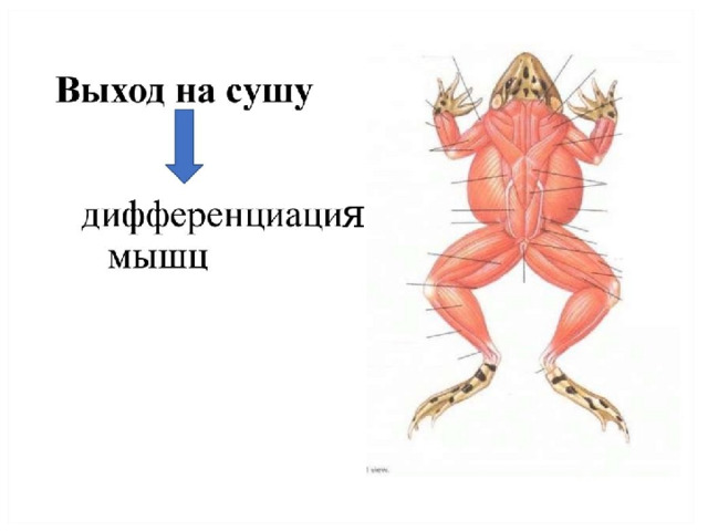 я 