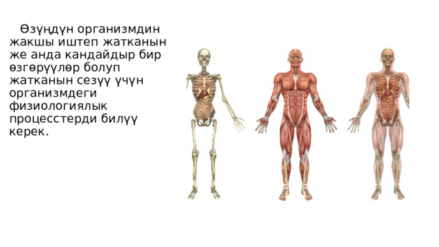    Өзүңдүн организмдин жакшы иштеп жатканын же анда кандайдыр бир өзгөрүүлөр болуп жатканын сезүү үчүн организмдеги физиологиялык процесстерди билүү керек. 