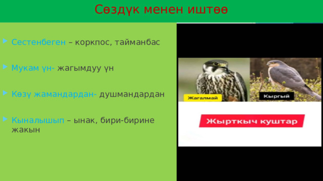 Сөздүк менен иштөө Сестенбеген – коркпос, тайманбас Мукам үн- жагымдуу үн Көзү жамандардан- душмандардан Кыналышып – ынак, бири-бирине жакын 
