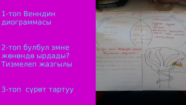  1-топ Венндин диограммасы    2-топ булбул эмне жөнөндө ырдады?  Тизмелеп жазгылы    3-топ сүрөт тартуу 