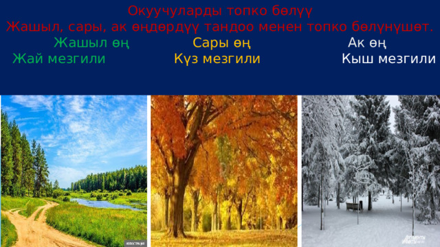 Окуучуларды топко бөлүү  Жашыл, сары, ак өңдөрдүү тандоо менен топко бөлүнүшөт.  Жашыл өң Сары өң  Ак өң   Жай мезгили Күз мезгили Кыш мезгили   