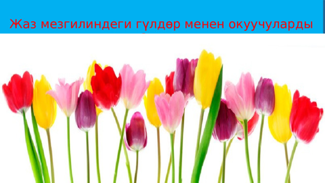  Жаз мезгилиндеги гүлдөр менен окуучуларды баалао 