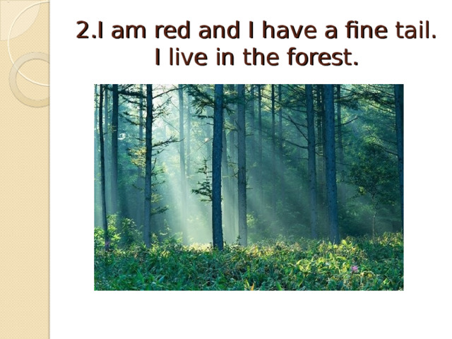 2.I am red and I have a fine tail. I live in the forest. 