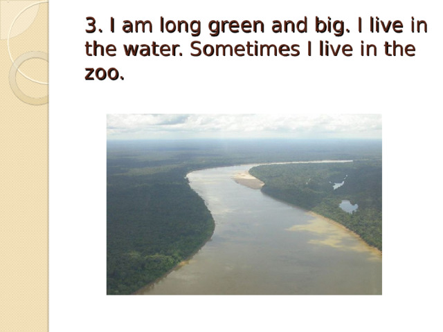 3. I am long green and big. I live in the water. Sometimes I live in the zoo. 