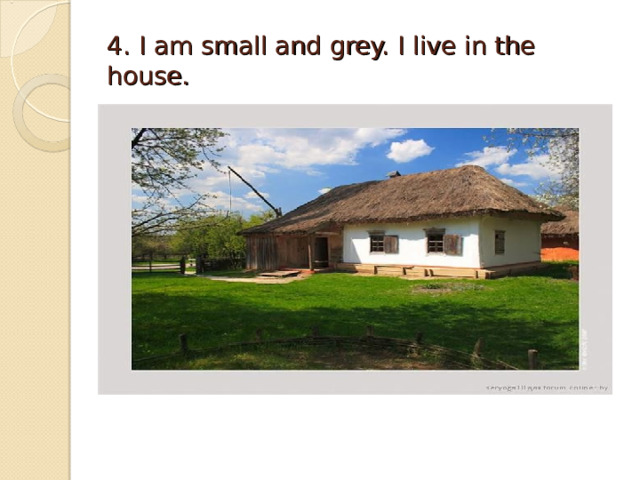 4. I am small and grey. I live in the house. 