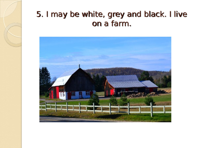 5. I may be white, grey  and black. I live on a farm. 