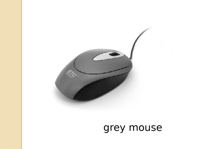  grey mouse 