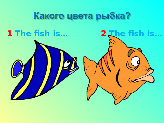  1 The fish is…  2 The fish is… 