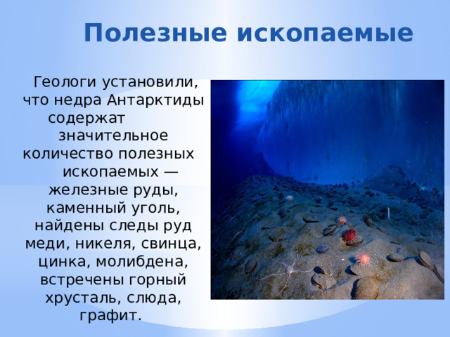  Полезные ископаемые  Геологи установили, что недра Антарктиды содержат значительное количество полезных ископаемых —железные руды, каменный уголь, найдены следы руд меди, никеля, свинца, цинка, молибдена, встречены горный хрусталь, слюда, графит. 