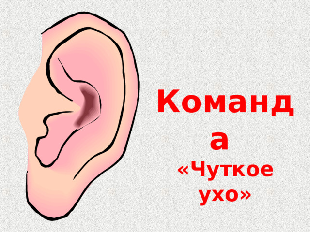 Команда «Чуткое ухо» 