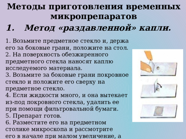 Методы приготовления временных микропрепаратов Метод «раздавленной» капли. 1. Возьмите предметное стекло и, держа его за боковые грани, положите на стол. 2. На поверхность обезжиренного предметного стекла наносят каплю исследуемого материала. 3. Возьмите за боковые грани покровное стекло и положите его сверху на предметное стекло. 4. Если жидкости много, и она вытекает из-под покровного стекла, удалить ее при помощи фильтровальной бумаги. 5. Препарат готов. 6. Разместите его на предметном столике микроскопа и рассмотрите его в начале при малом увеличение, а затем при большом. 