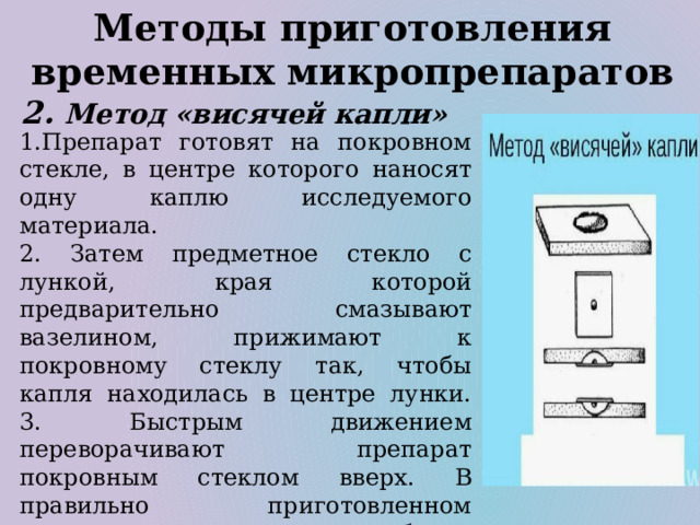 Методы приготовления временных микропрепаратов 2. Метод «висячей капли» 1.Препарат готовят на покровном стекле, в центре которого наносят одну каплю исследуемого материала. 2. Затем предметное стекло с лункой, края которой предварительно смазывают вазелином, прижимают к покровному стеклу так, чтобы капля находилась в центре лунки. 3. Быстрым движением переворачивают препарат покровным стеклом вверх. В правильно приготовленном препарате капля должна свободно висеть над лункой, не касаясь ее дна или края. Этот метод позволяет наблюдать рост микробов под микроскопом. 