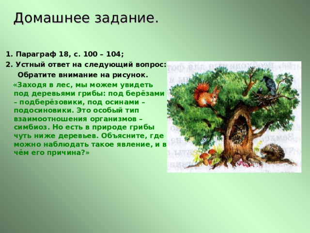 Домашнее задание.  1. Параграф 18, с. 100 – 104;  2. Устный ответ на следующий вопрос:  Обратите внимание на рисунок.  «Заходя в лес, мы можем увидеть под деревьями грибы: под берёзами – подберёзовики, под осинами – подосиновики. Это особый тип взаимоотношения организмов – симбиоз. Но есть в природе грибы чуть ниже деревьев. Объясните, где можно наблюдать такое явление, и в чём его причина?»  