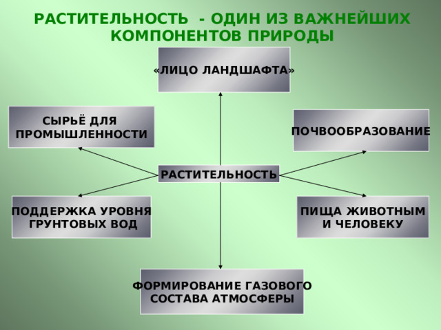 РАСТИТЕЛЬНОСТЬ - ОДИН ИЗ ВАЖНЕЙШИХ КОМПОНЕНТОВ ПРИРОДЫ «ЛИЦО ЛАНДШАФТА» СЫРЬЁ ДЛЯ ПРОМЫШЛЕННОСТИ ПОЧВООБРАЗОВАНИЕ РАСТИТЕЛЬНОСТЬ ПИЩА ЖИВОТНЫМ И ЧЕЛОВЕКУ ПОДДЕРЖКА УРОВНЯ  ГРУНТОВЫХ ВОД ФОРМИРОВАНИЕ ГАЗОВОГО СОСТАВА АТМОСФЕРЫ 