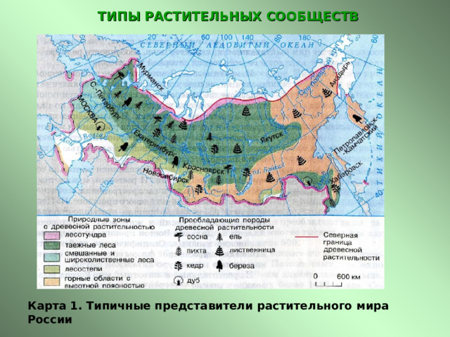  ТИПЫ РАСТИТЕЛЬНЫХ СООБЩЕСТВ   Карта 1. Типичные представители растительного мира России 