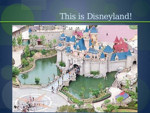  This is Disneyland! 