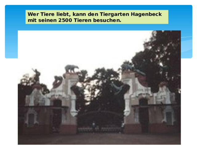 Wer Tiere liebt, kann den Tiergarten Hagenbeck mit seinen 2500 Tieren besuchen. 