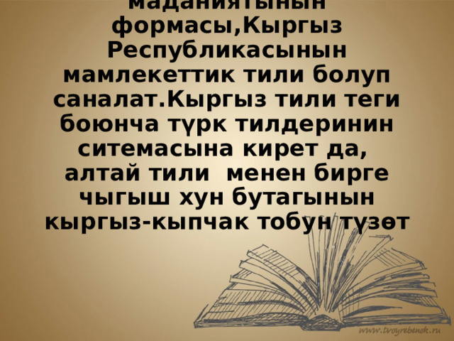 Кыргыз тили-кыргыз элинин улуттук тили,улуттук маданиятынын формасы,Кыргыз Республикасынын мамлекеттик тили болуп саналат.Кыргыз тили теги боюнча түрк тилдеринин ситемасына кирет да, алтай тили менен бирге чыгыш хун бутагынын кыргыз-кыпчак тобун түзөт   