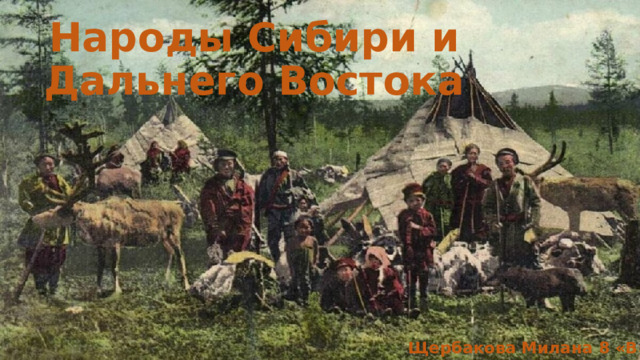 Народы Сибири и Дальнего Востока Щербакова Милана 8 «В» 