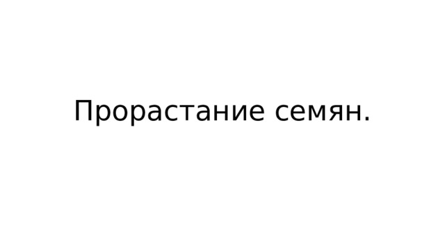 Прорастание семян. 