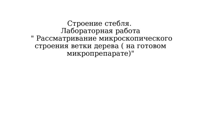 Строение стебля.  Лабораторная работа  