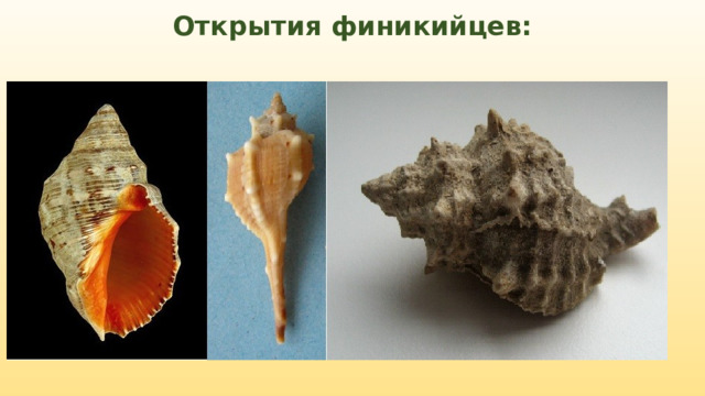 Открытия финикийцев: 