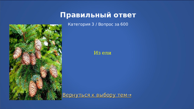 Правильный ответ   Категория 3 / Вопрос за 600 Из ели Вернуться к выбору тем→  