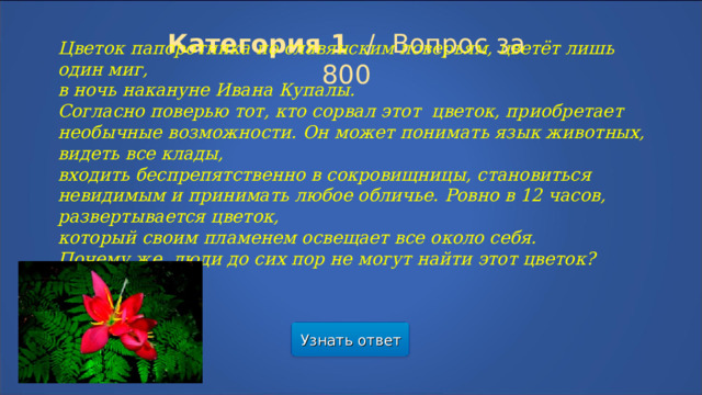 Категория 1  /  Вопрос за 800 Цветок папоротника по славянским поверьям, цветёт лишь один миг, в ночь накануне Ивана Купалы. Согласно поверью тот, кто сорвал этот цветок, приобретает необычные возможности. Он может понимать язык животных, видеть все клады, входить беспрепятственно в сокровищницы, становиться невидимым и принимать любое обличье. Ровно в 12 часов, развертывается цветок, который своим пламенем освещает все около себя. Почему же люди до сих пор не могут найти этот цветок? Узнать ответ  