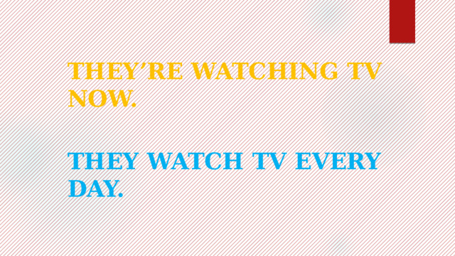 THEY’RE WATCHING TV NOW. THEY WATCH TV EVERY DAY. 